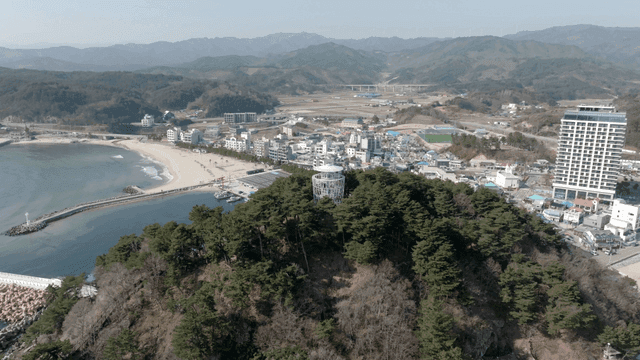 숲이 우거진 언덕이 있는 해안 도시