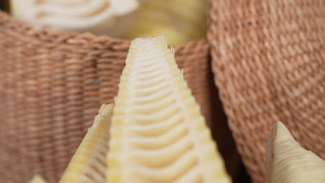 Cross section of bamboo shoots cut in half