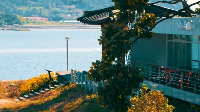 봄의 나뭇잎으로 둘러싸인 강가의 카페