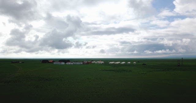 Vast green field with traditional yurts