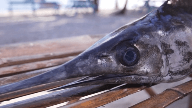 해변의 대나무 테이블 위의 황새치