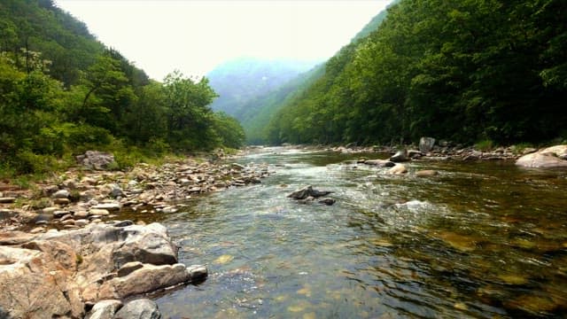 Valley flowing through green mountains