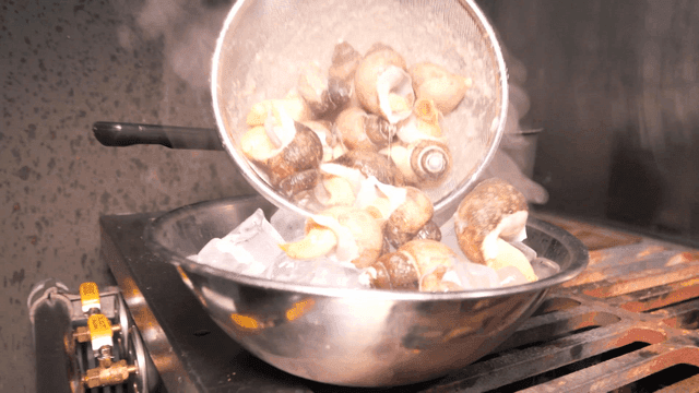 Boiling snails being cooled in ice water