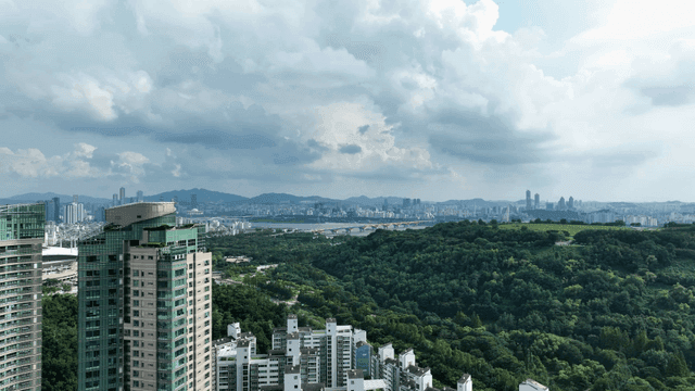 Greenery and city skyline