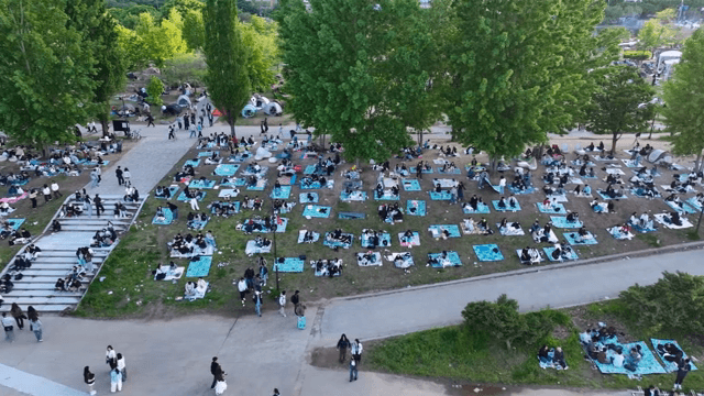 people enjoying a picnic in a park