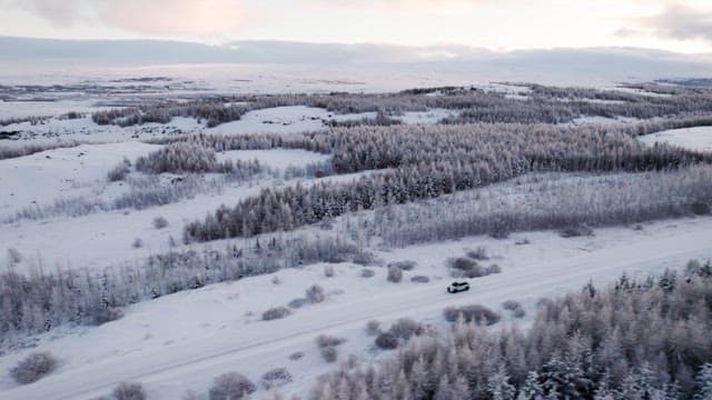 Car driving through a snowy forest