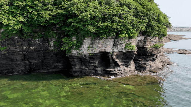 바다 옆 무성한 나무들이 있는 바위 절벽