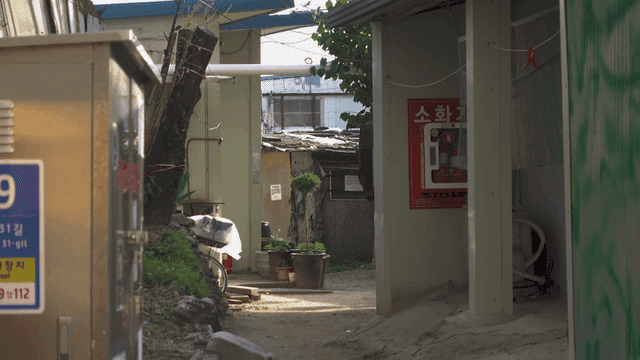 Back view of elderly woman walking down narrow alleyway with flowerpots