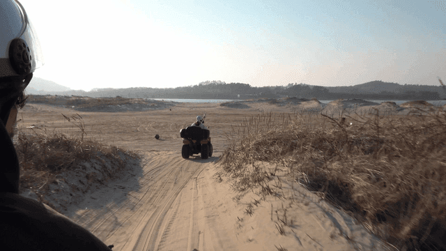 People riding ATVs on sandy beach with distant hills in view