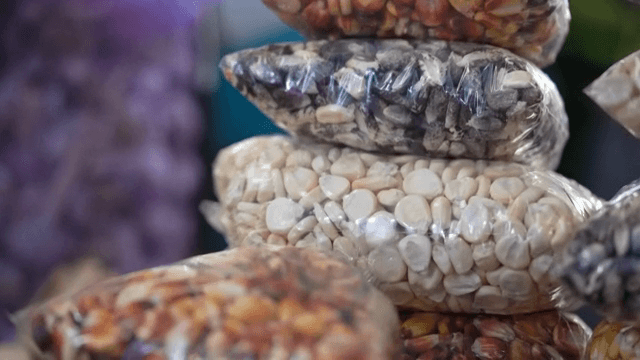 깔끔하게 쌓여 있는 다양한 곡물이 담긴 봉지들