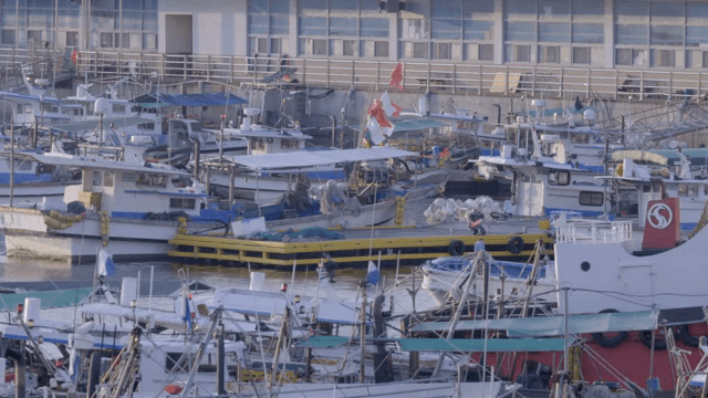 Numerous fishing boats anchored in the port