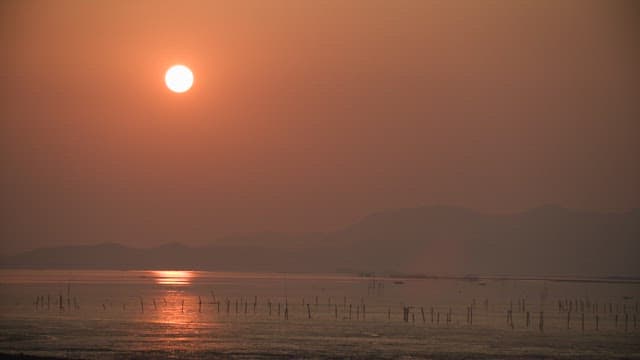 Sunset over a tranquil coastal landscape with mudflat