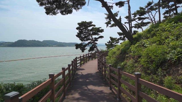 수변 경관을 따라 이어진 평화로운 산책로