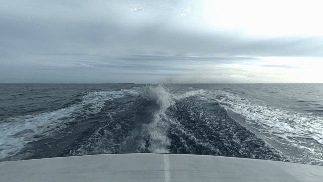 A boat cruising on the open sea