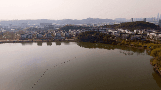 Cityscape with lake and buildings