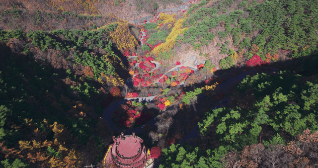 알록달록한 가을 언덕과 굽이진 도로를 내려다보는 전망대 풍경