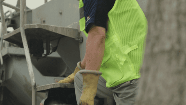 Construction workers near a tree