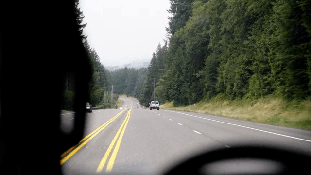 A winding road through a forested area