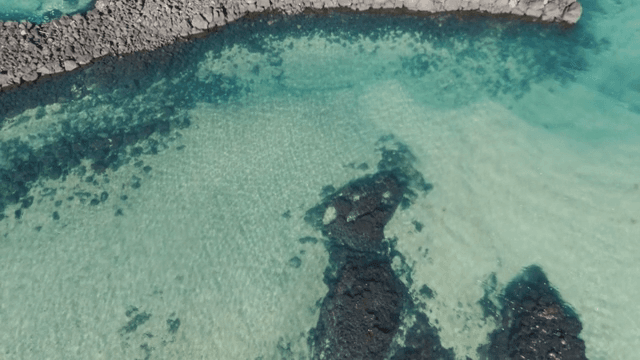 Clear turquoise sea with rocky shoreline