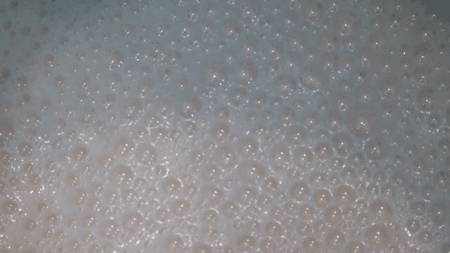 끓는 액체 위에 생기는 거품