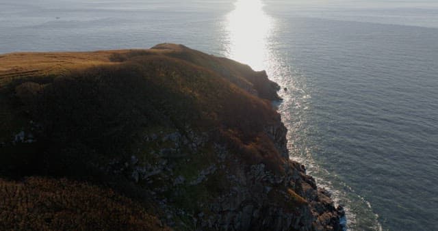 잔잔한 해안선과 물에 비치는 햇빛