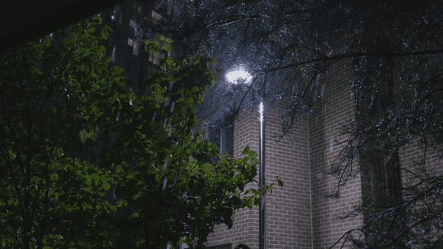 벽돌 건물 근처 나무와 가로등 아래 내리는 비