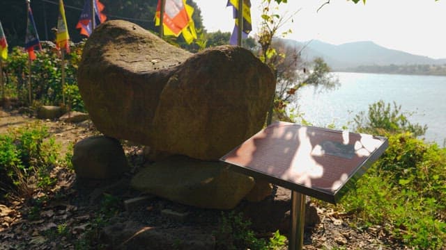 나무와 녹지로 둘러싸인 바위탑