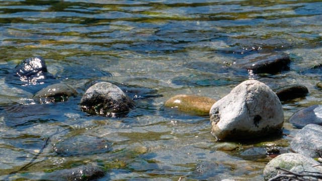 Stream with rocks under clear water