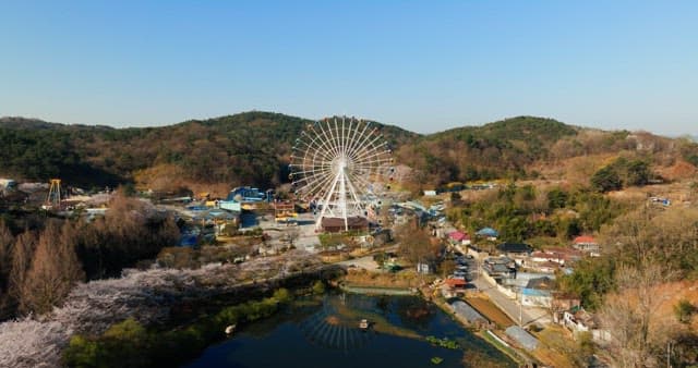 Ferris wheel amidst hills and cherry blossoms