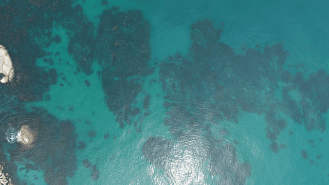 맑은 청록색 바다와 바위 해안선