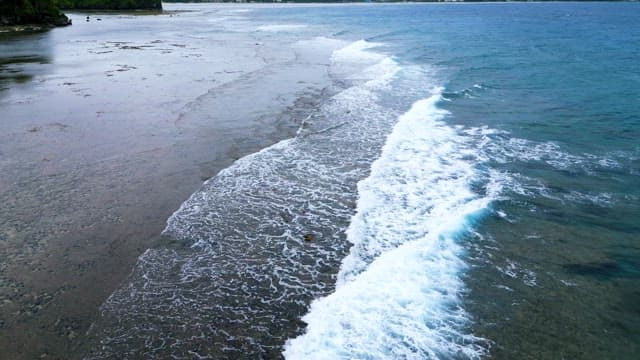 Serene Beach Waves Gently Lapping the Shore