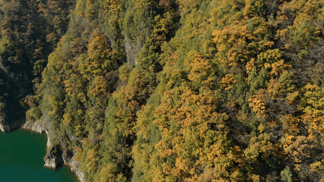 고요한 호숫가의 숲이 우거진 절벽