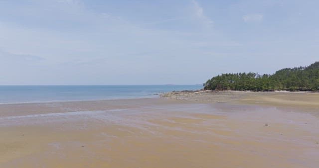 Serene beach with distant ships