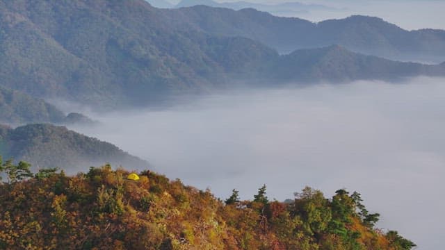 고요한 산 정상의 아침 안개