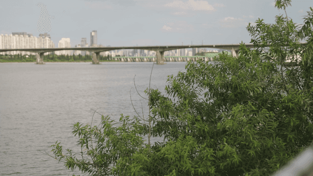 Bridge over river and city view