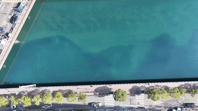 Aerial view of riverside road