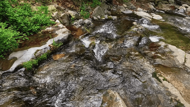 바위 위로 흐르는 고요한 시냇물