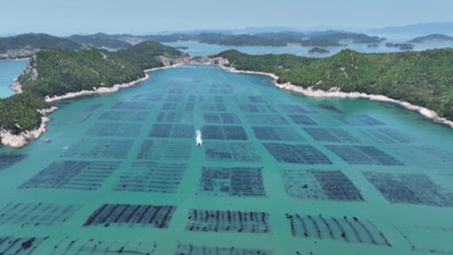 화창한 날 연안 양식장 근처를 지나는 어선