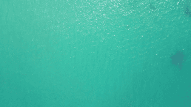 Turquoise sea with gentle waves