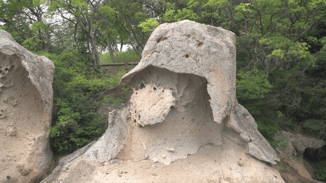 숲 속의 독특한 바위 형상