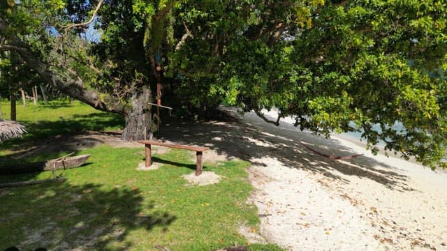 Clean and blue beach with lush greenery and hammocks