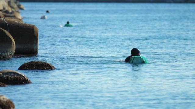 Haenyeos Swimming in the Sea on a Sunny Afternoon