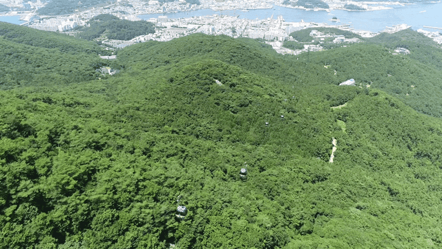 푸른 산 위를 지나는 케이블카