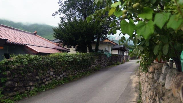 Quiet village road leading to traditional houses