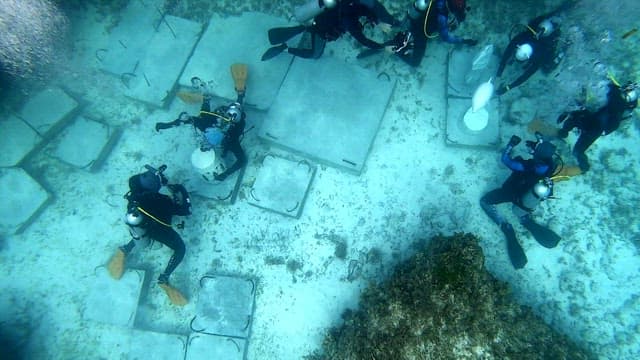 평화로운 바닷속에서 수중작업 중인 잠수부들