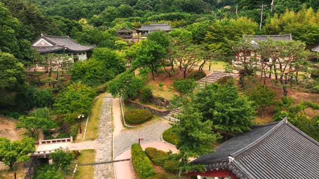 푸른 나무로 둘러싸인 한국 전통 가옥