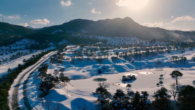 Winter Landscape with Snow-Covered Trees