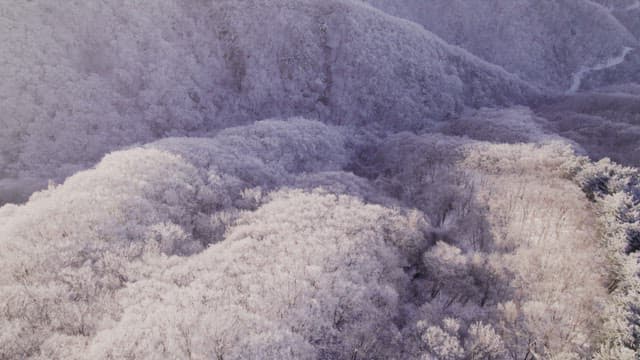 Mountains Covered White with Snow at Dawn