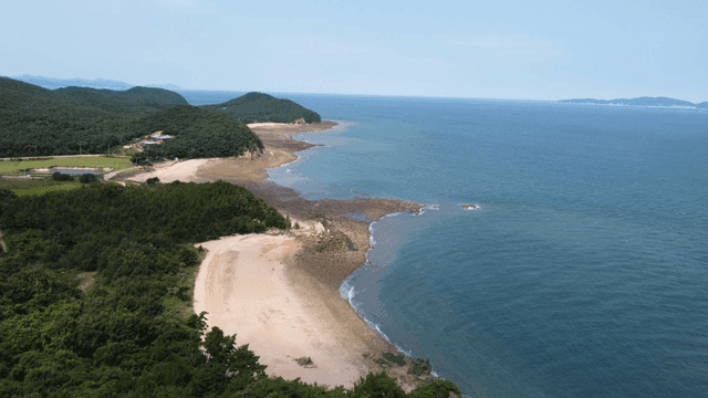Scenery of blue forest and coastline