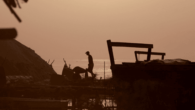 Silhouette of person pushing wheelbarrow by sea at sunset